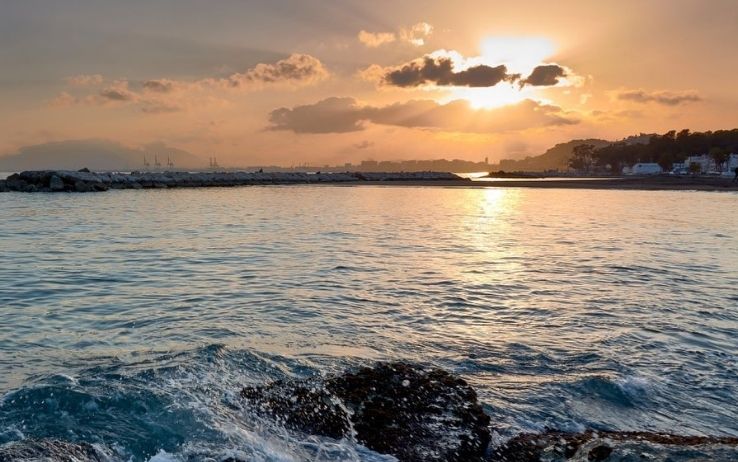 Malaga mare