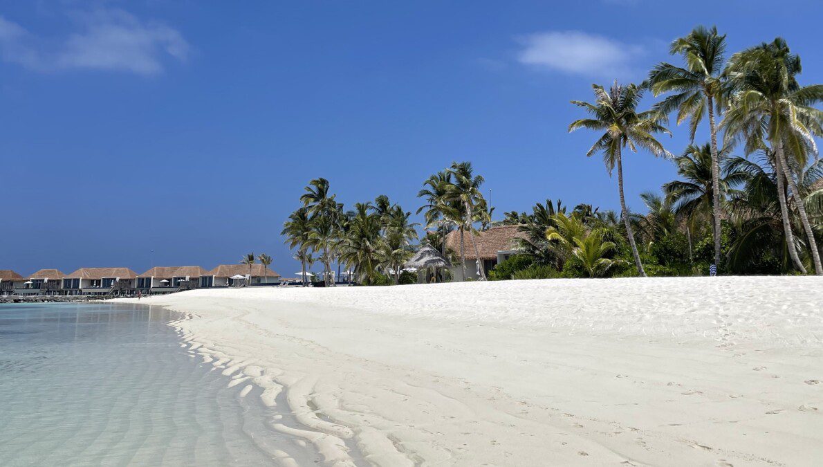 Download Radisson's new app: 3000 bonus points