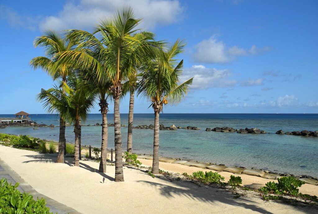 nomadi digitali mauritius