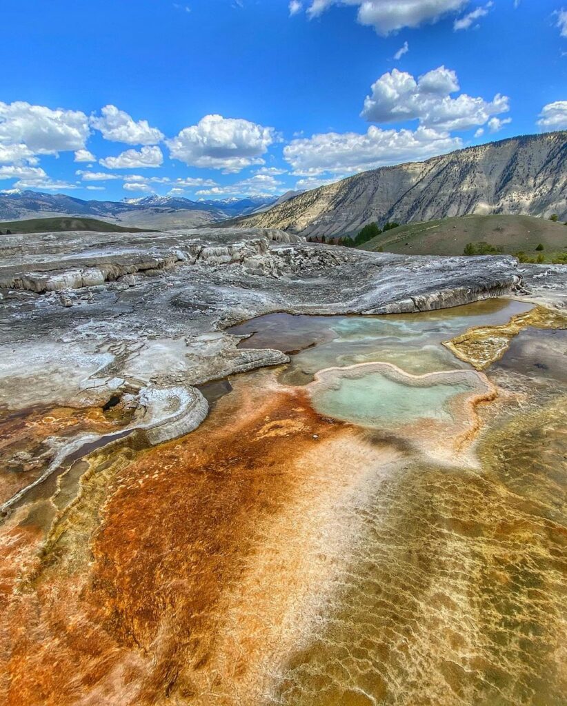 Mammoth Hot Springs