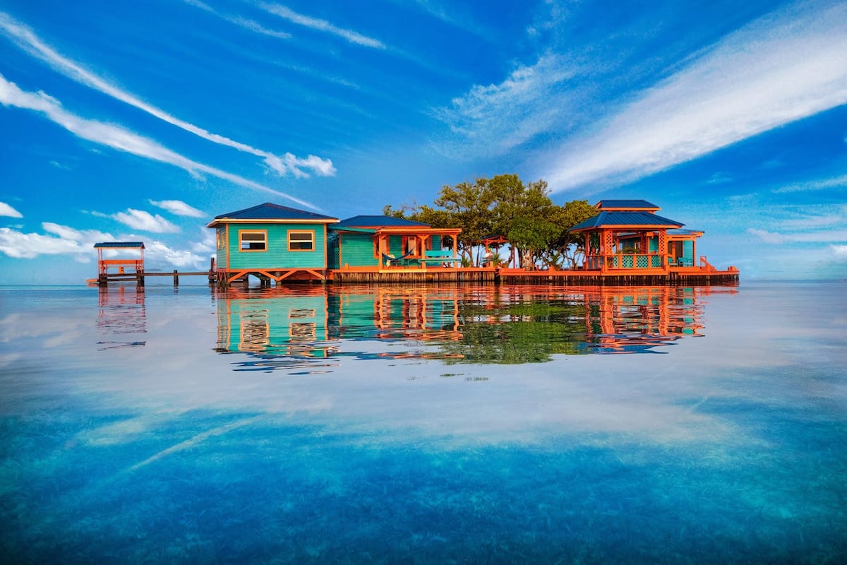 bird island