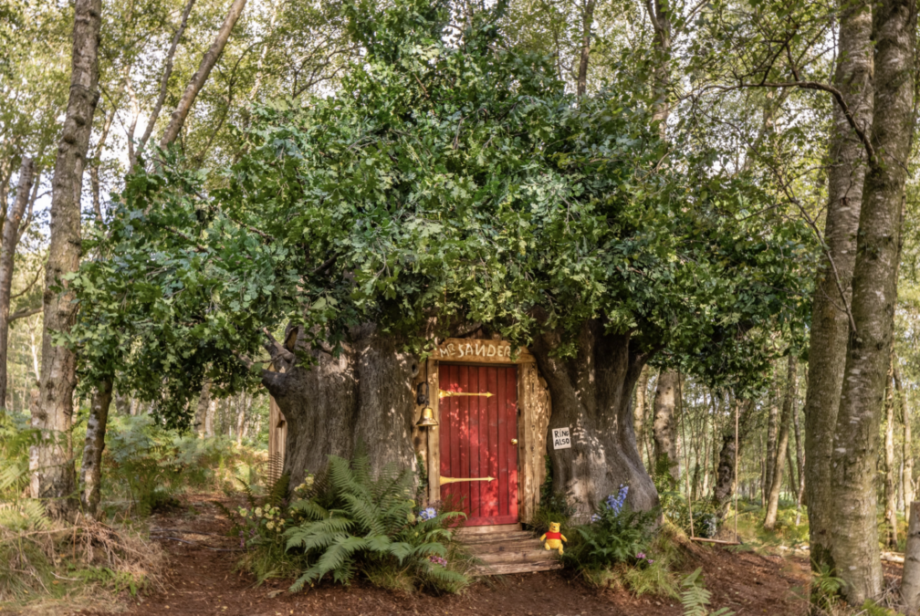 Sleep at Winnie The Pooh's house you can: here's where