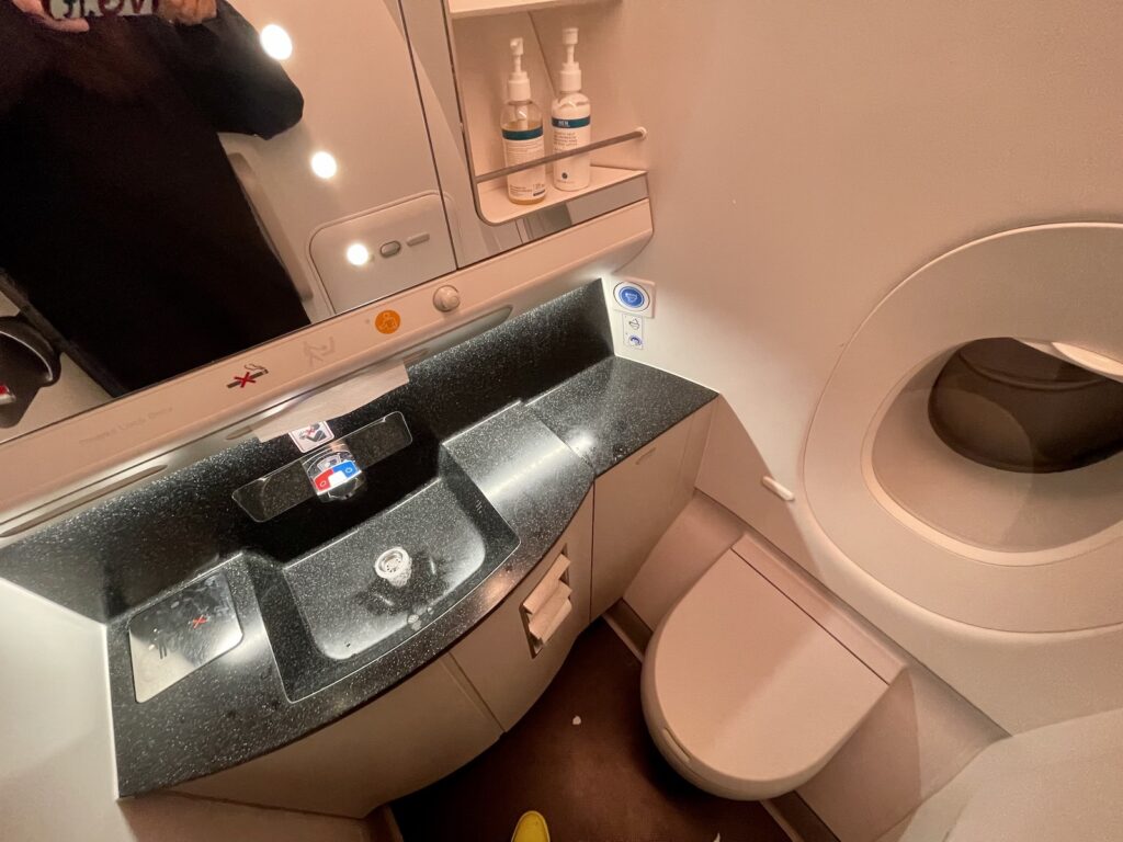 Bathroom A350/1000 with window