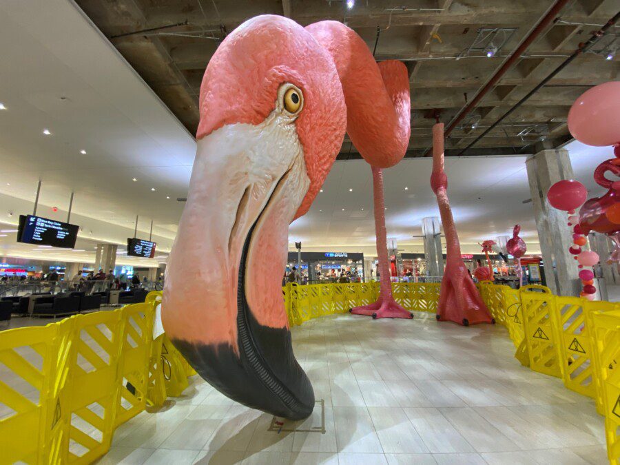 Un fenicottero gigante è atterrato in mezzo ad un aeroporto