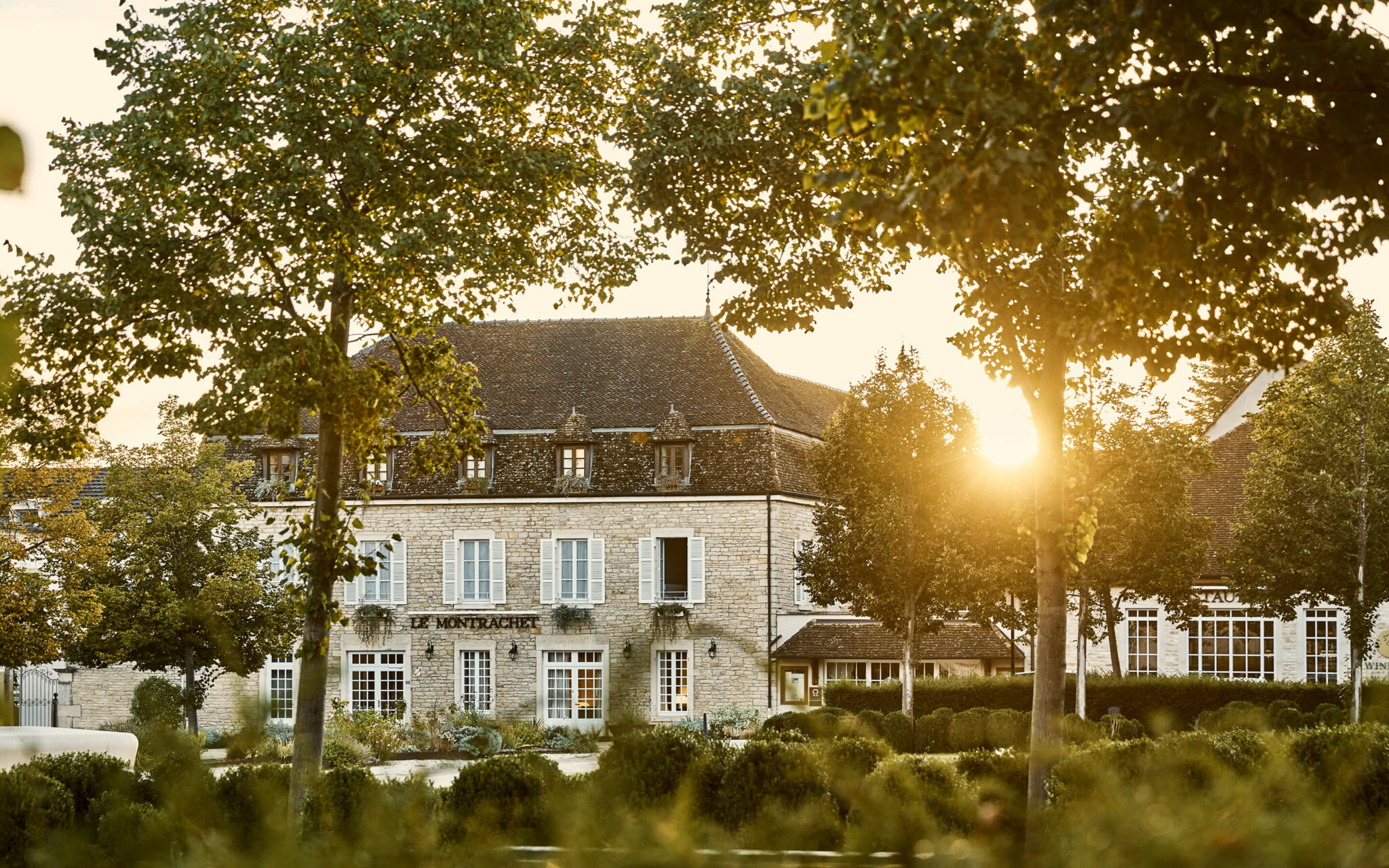 como le montrachet