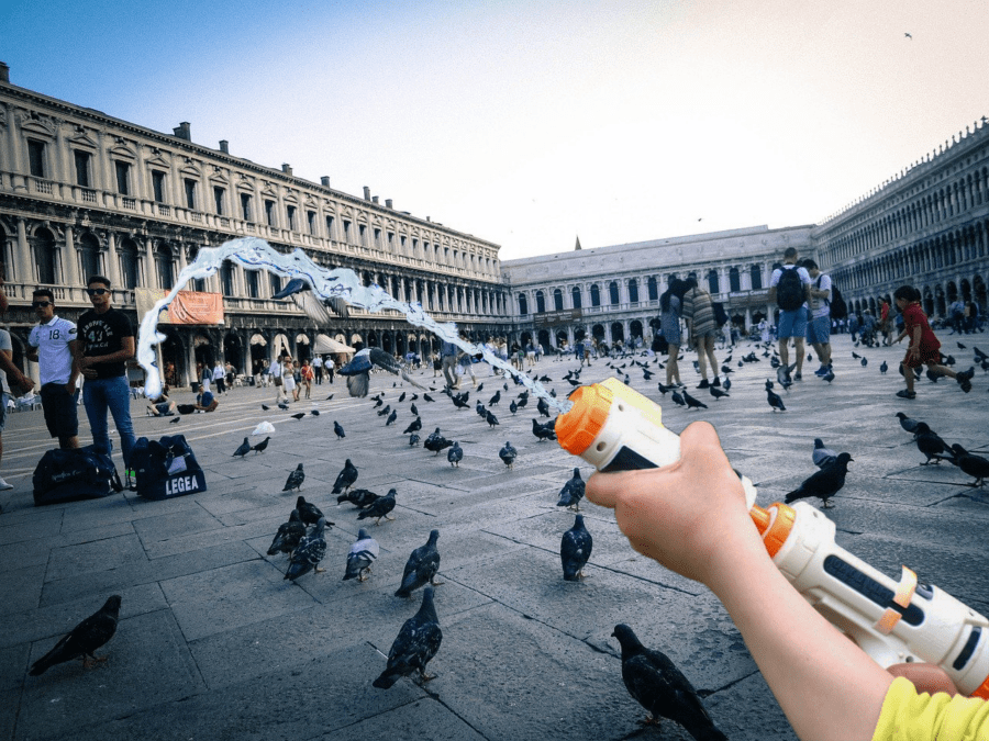 Hotels in Venice are giving water guns to tourists to guard against seagulls