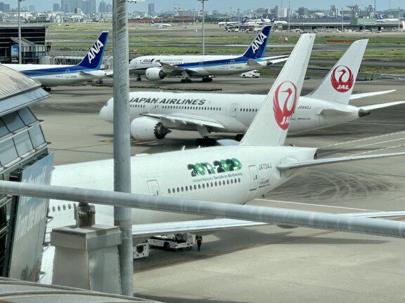 Japan Airlines, 'moving' warning after Tokyo crash: a lesson for all companies