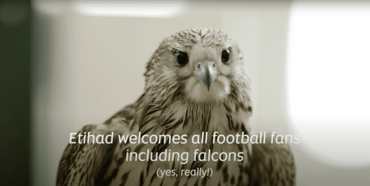 L’ultimo spot di Etihad per sponsorizzare la Coppa del Mondo e…i falchi a bordo!