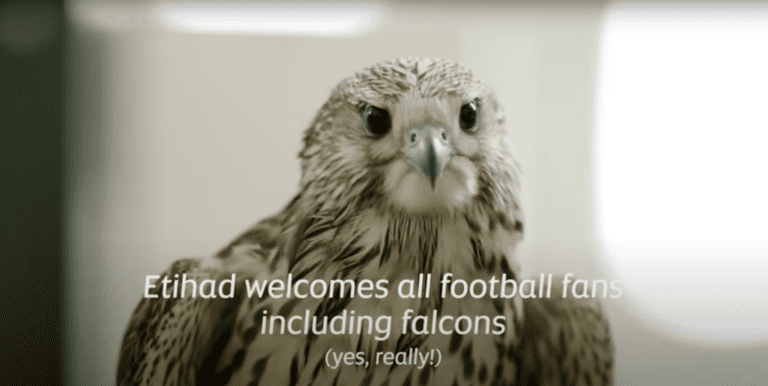 Etihad's latest commercial to sponsor the World Cup and...hawks on board!