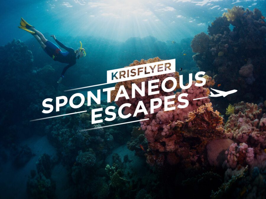 Singapore Airlines, volare a New York in business con solo 56.700 miglia