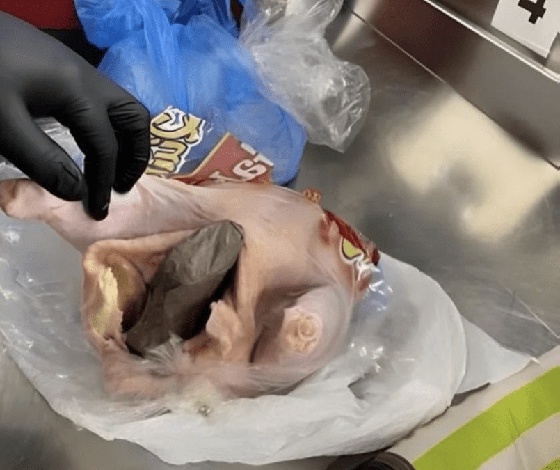 Hides a gun in a raw chicken in luggage: arrested in customs