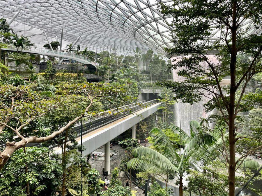Singapore takes back the crown and returns to being the world's best airport. Fiumicino in top15