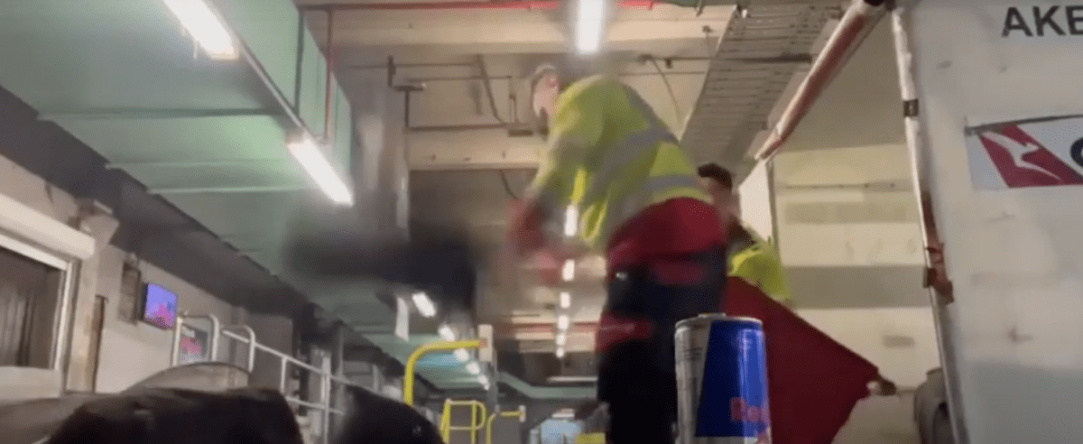Distruggono i bagagli dei passeggeri, licenziati in tronco dopo che questo video è diventato virale