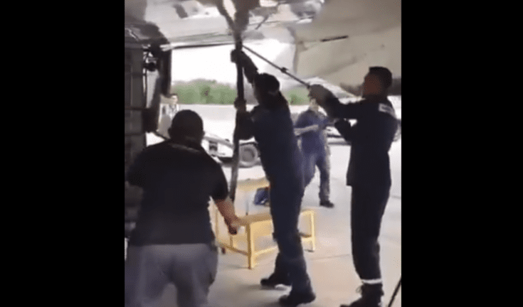 One more snake on board! [Video]