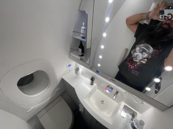 fiinair_business_a350_1406