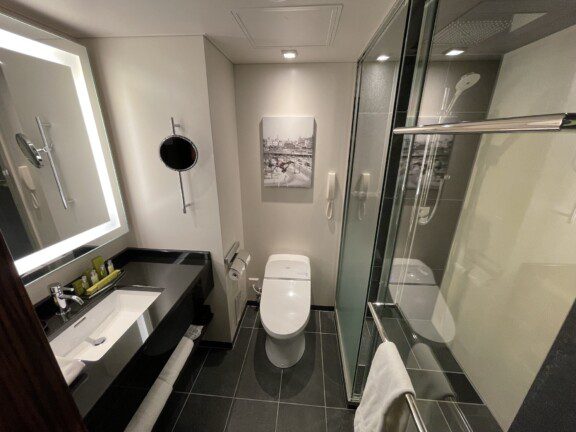 hilton-tokyo-shinjuku1861