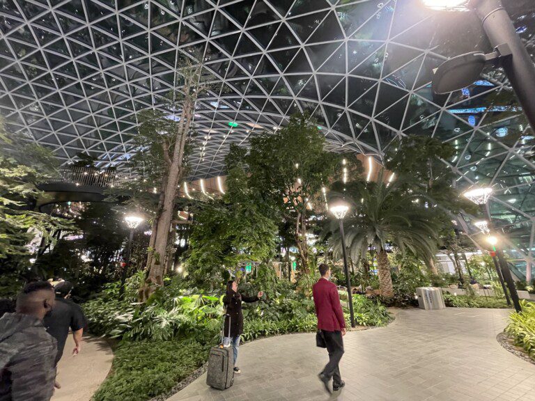 airport_doha_orchard6955