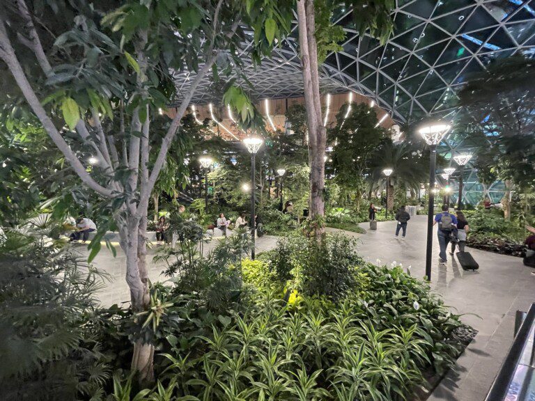 airport_doha_orchard6957