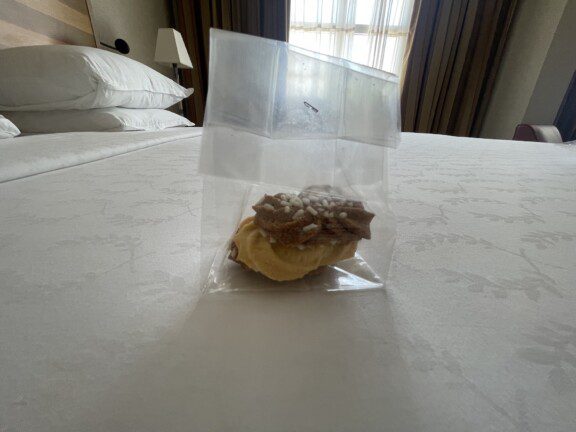 sheraton_roma_recensione5946