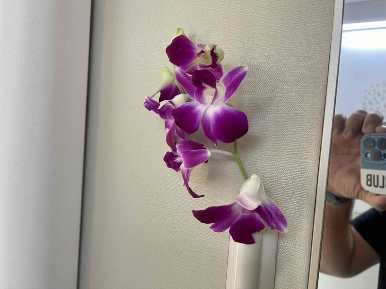 emirates-retirement-suite-gamechanger-first0373