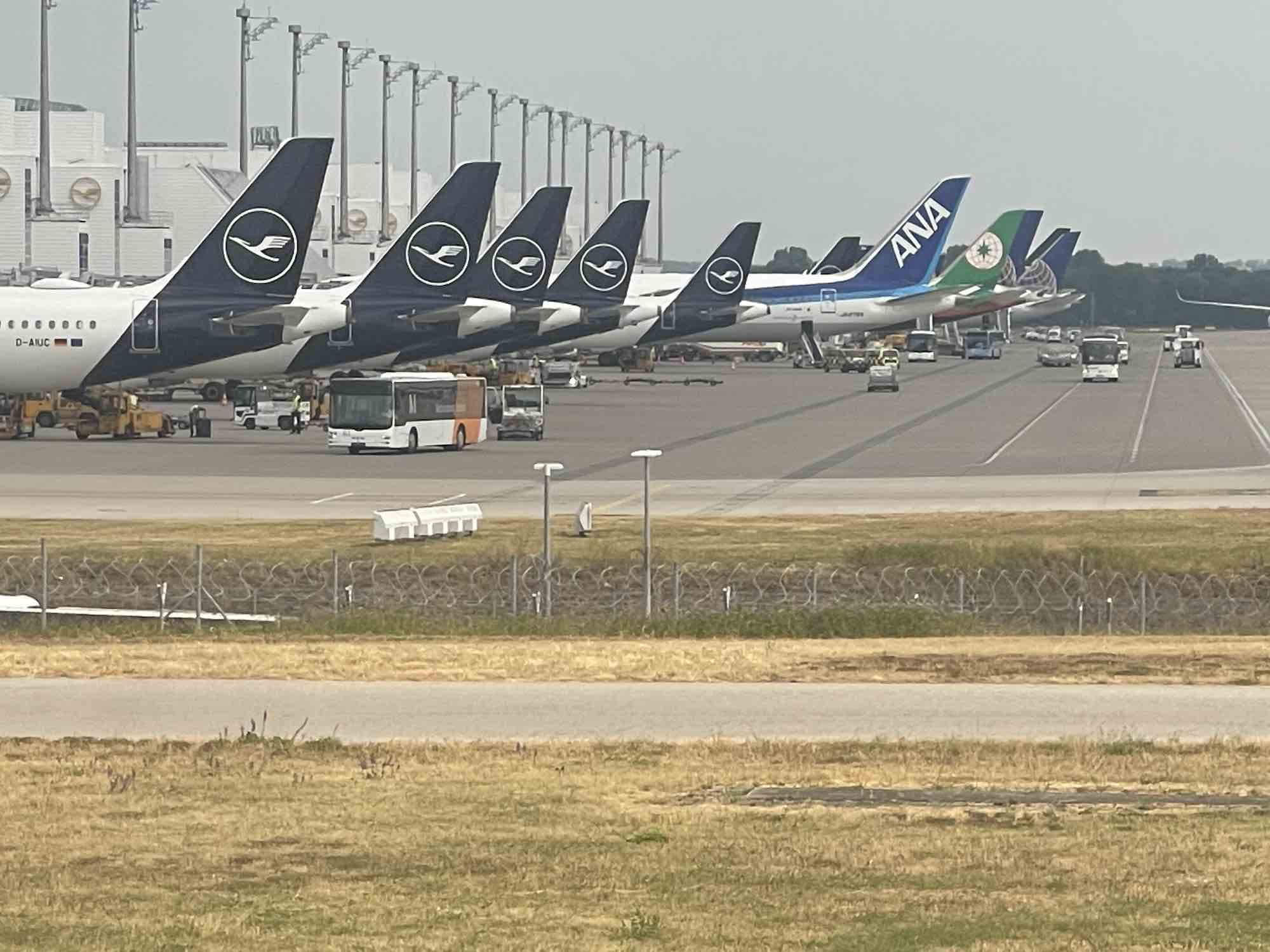 Miles&More, how to calculate the award miles you earn from a flight