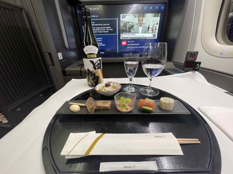 ANA_thesuite_firstclass_review3361