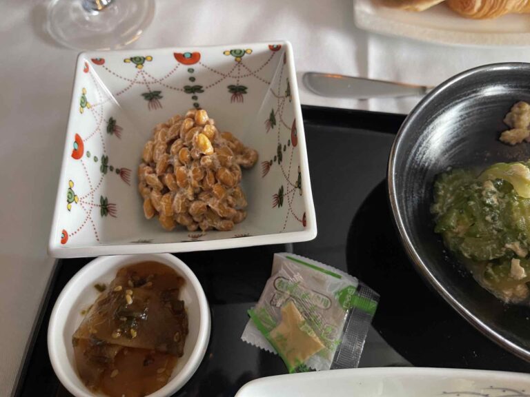 ANA_thesuite_firstclass_review3406