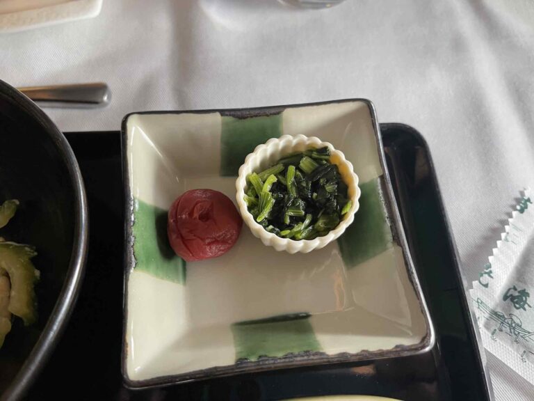 ANA_thesuite_firstclass_review3408