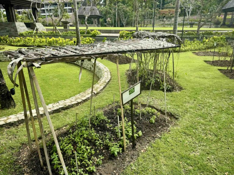 review_theritzcarlton_bali0999