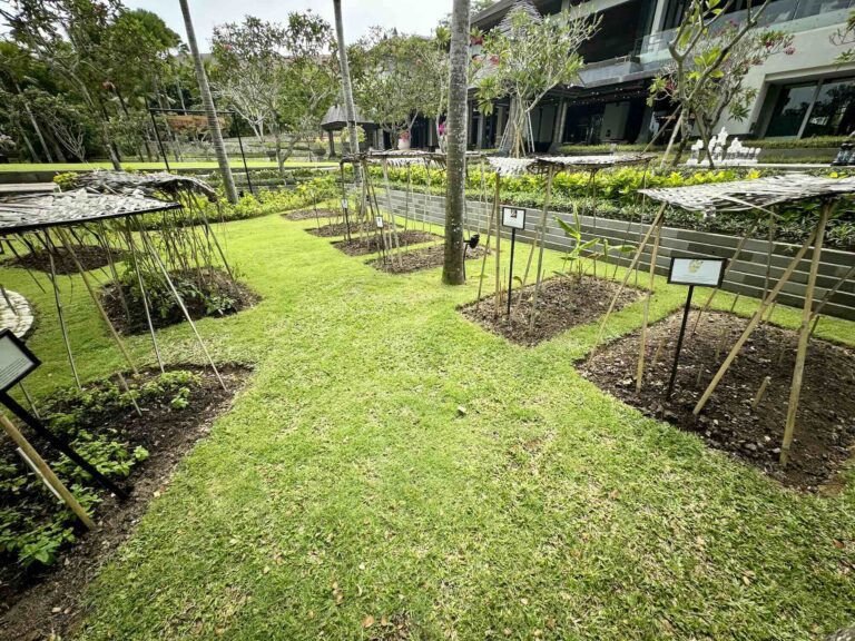 review_theritzcarlton_bali1001