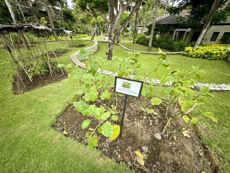 review_theritzcarlton_bali1002