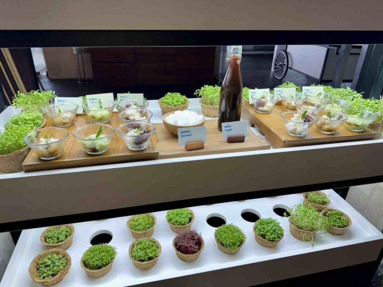 whotel-bali-review0745