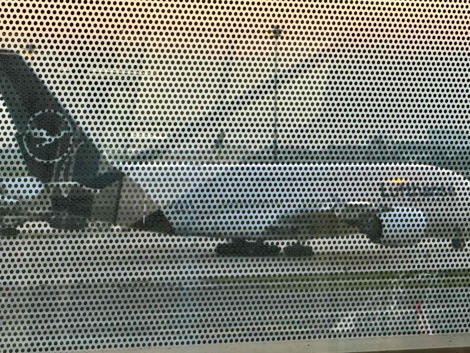 Furious on-board quarrel between husband and wife, Lufthansa A380 forced to emergency landing