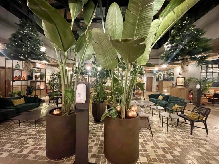 doubletree_roma_review3169