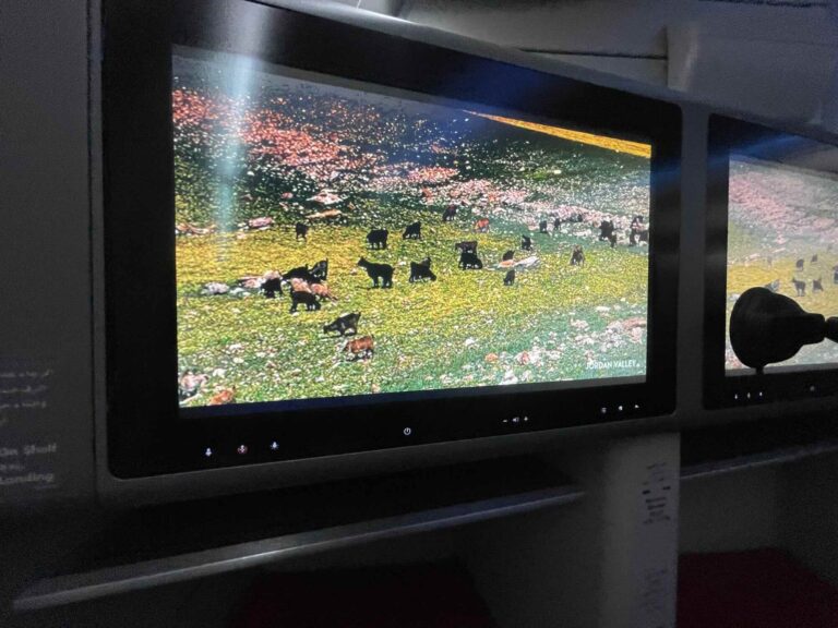 review_flight_royaljordanian5625