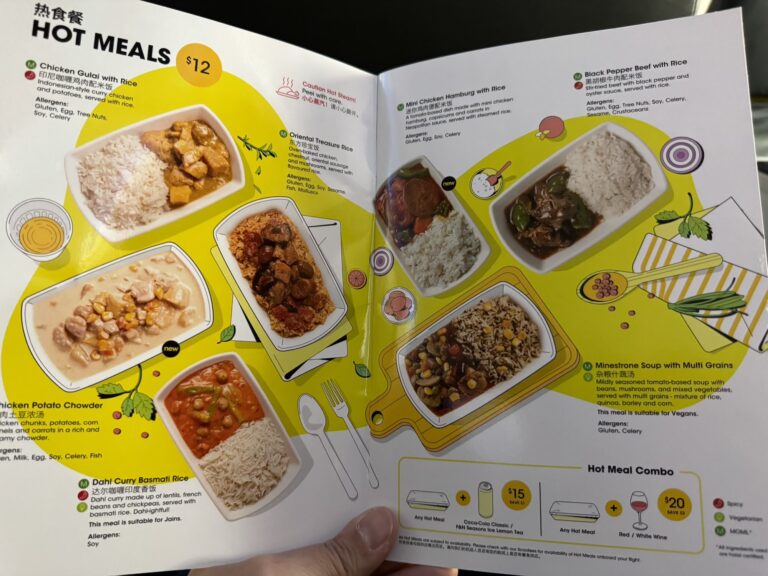 review_scoot_singapore_flying_opinion7290