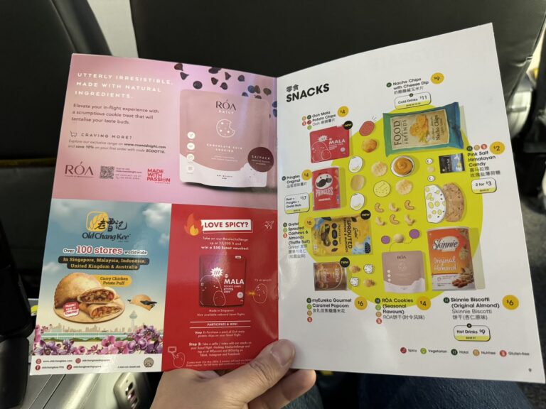 review_scoot_singapore_flying_opinion7293