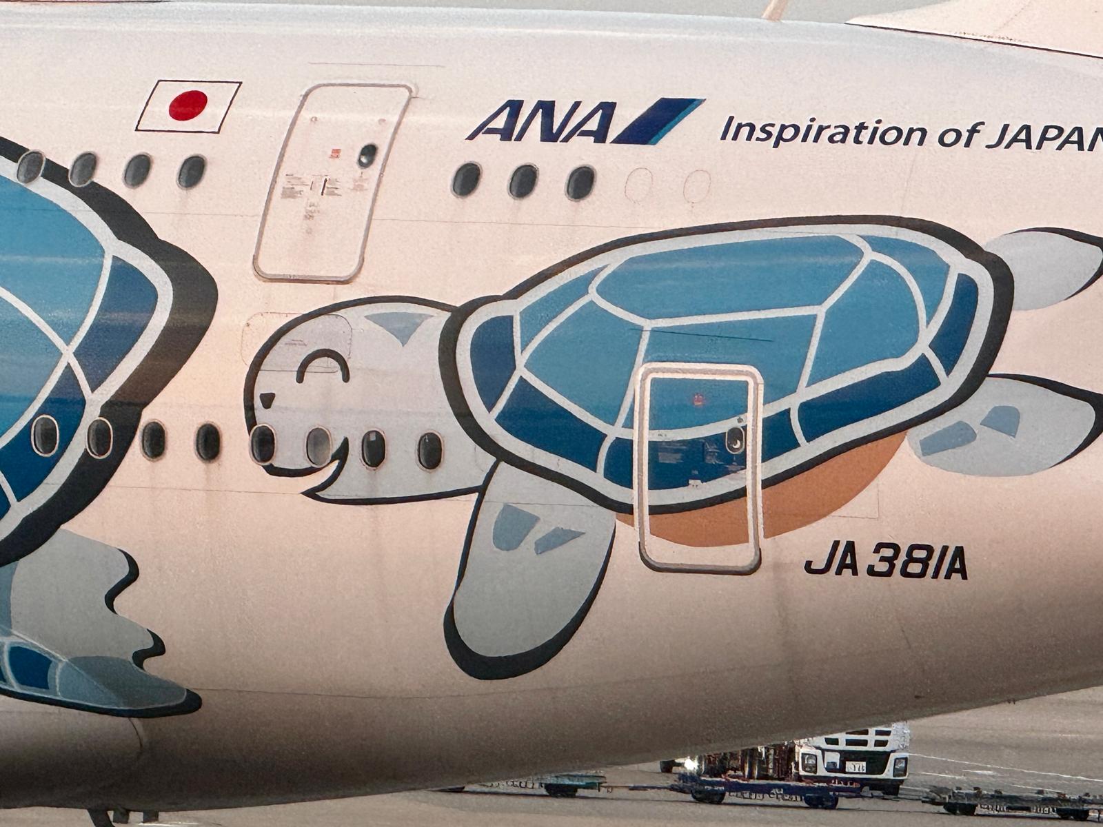 Fabulous livery, flying a single route: the 'flying turtles' are the most exotic and rare A380s