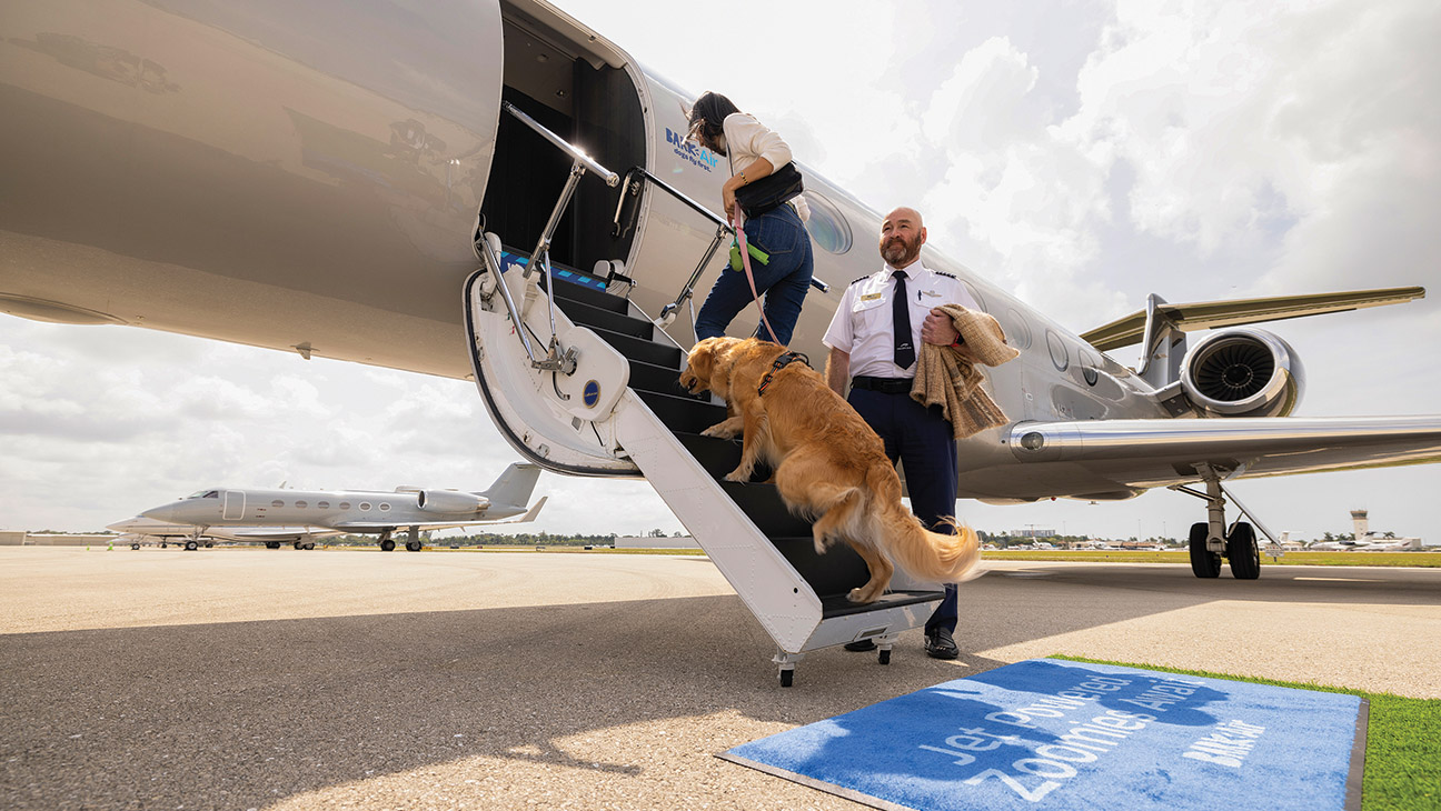 Flying first class with our dog? It can be done. Here's Bark Air, the new luxury airline for dogs