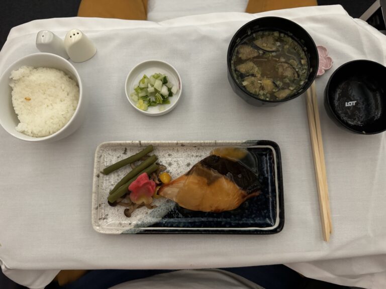 bento-box-eating-lot1666