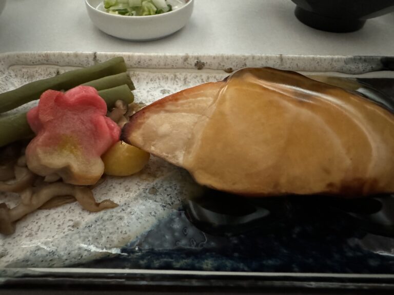 bento-box-eating-lot1667