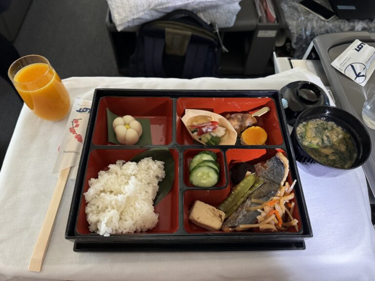 bento-box-eating-lot1708