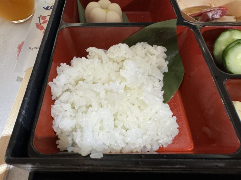 bento-box-eating-lot1710