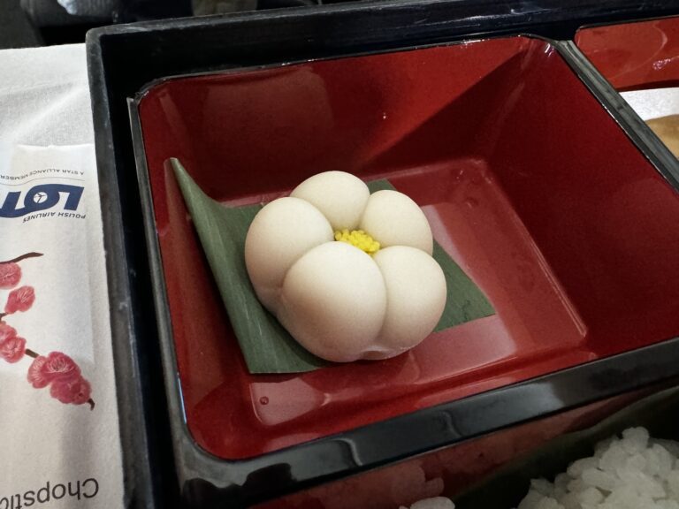 bento-box-eating-lot1712